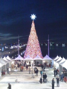 Christmas Tree at National Harbor